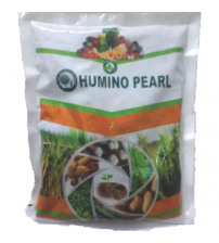 Humino Pearl - 1 Kg (BUY4GET1FREE)